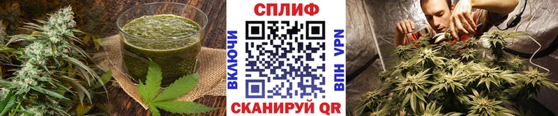 Cannafood конопля  Долгопрудный 