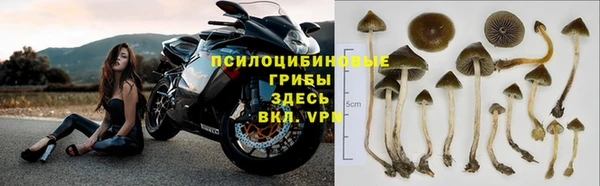 крисы Белоозёрский